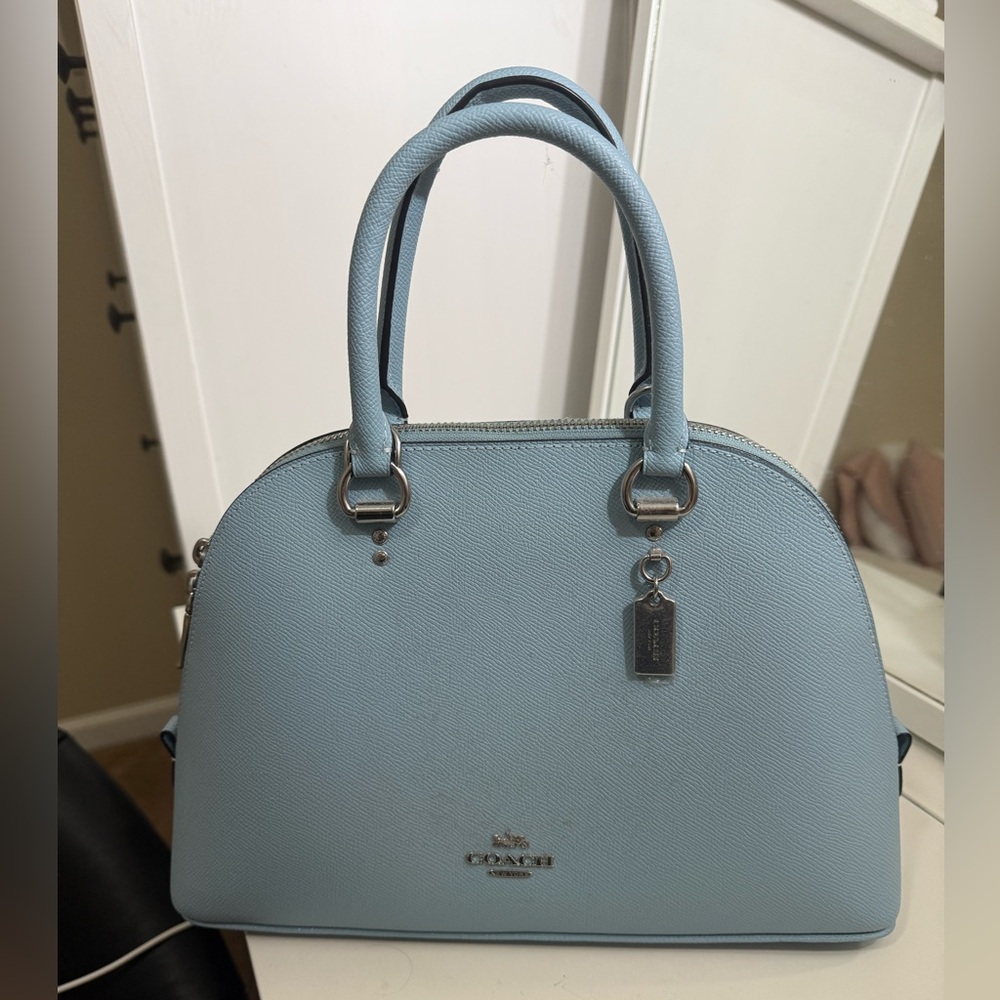 Coach Blue carryall bag